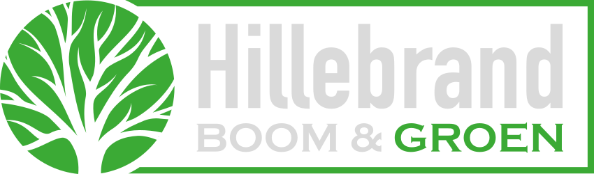 Logo Hillebrand Boom en Groen